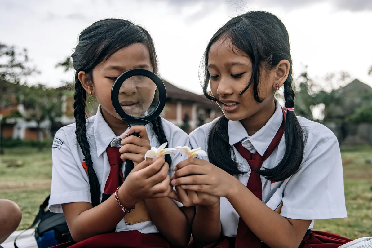 Erek Erek Pemabuk 2D: Panduan Lengkap dan Makna Angka dalam