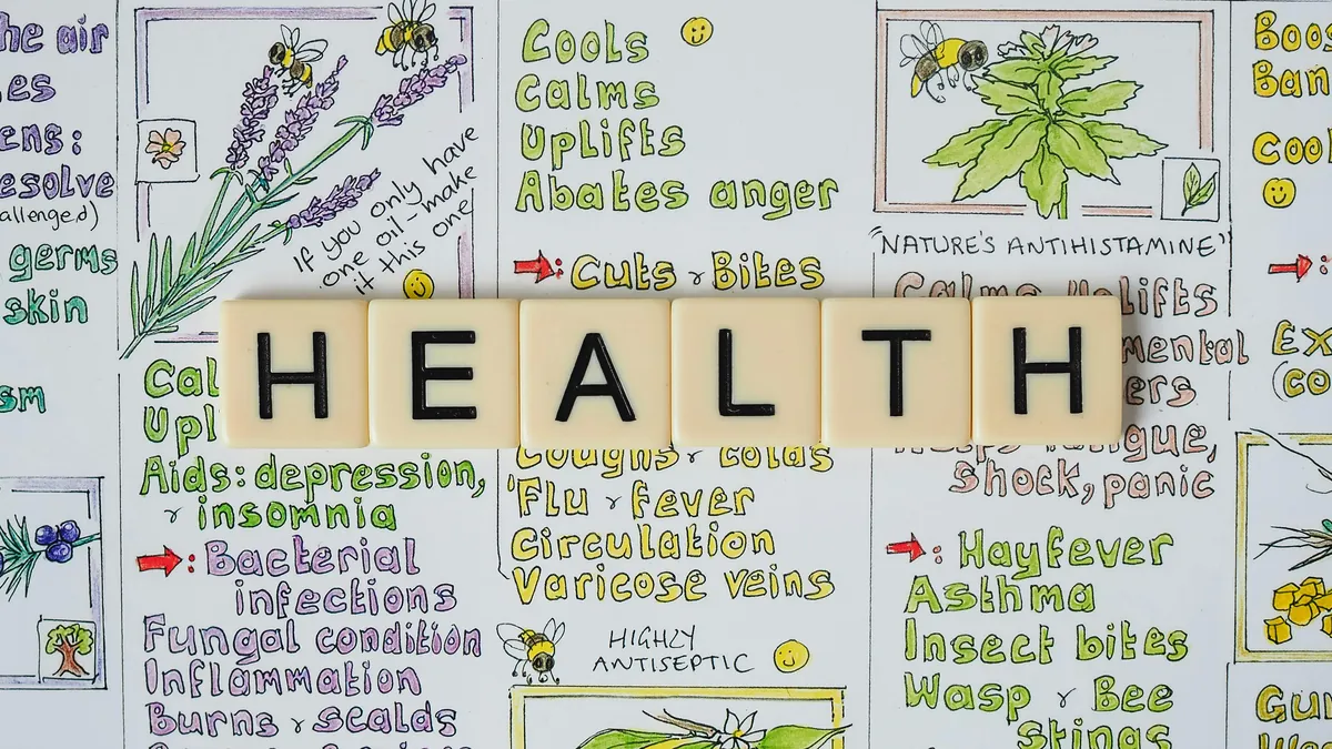 The Best Movies of 2025: What to Watch for Your Health and Happiness