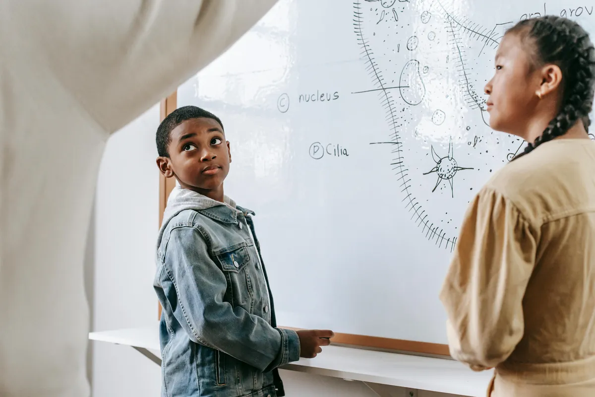 Understanding BOM: 539594 and Its Role in Education Management