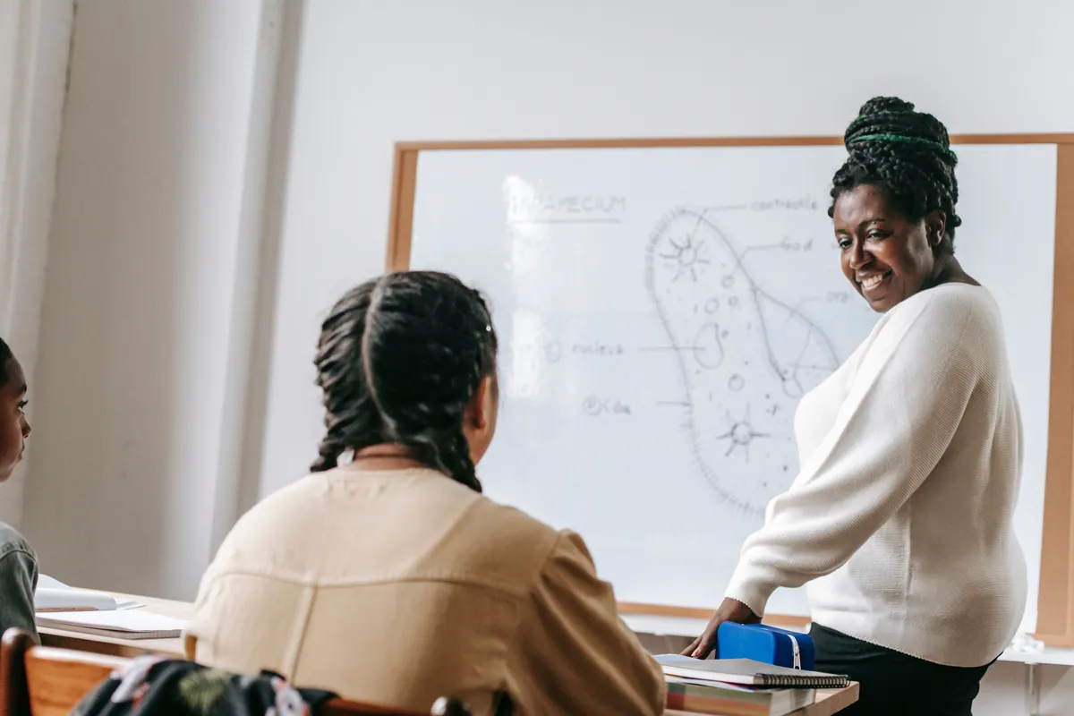 Understanding BVMF: BBDC4 and Its Impact on Education Investments