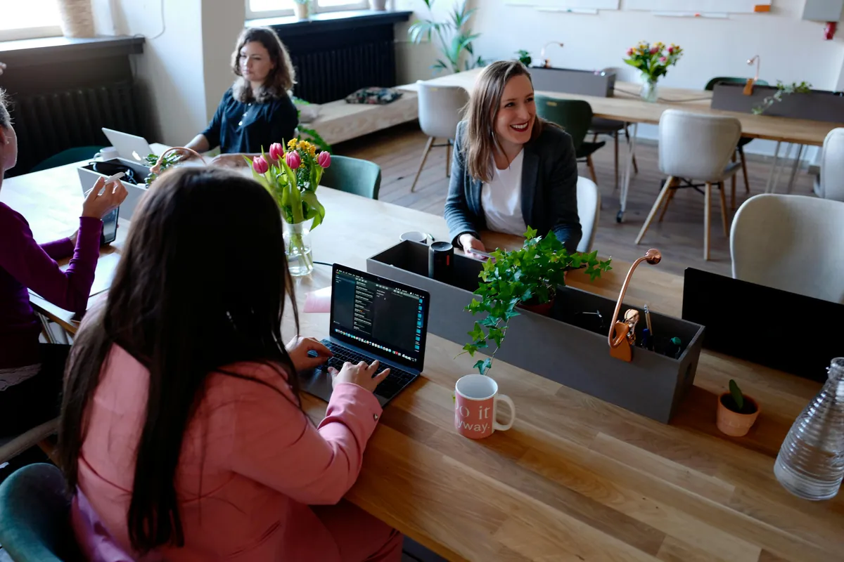 Understanding Business Loans with No Credit: How to Secure Financing When Your Credit Score Isn’t Perfect