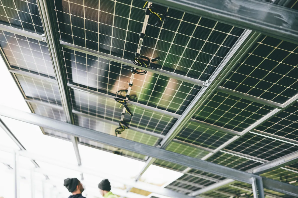 The Best Robo Investor Platforms of 2024: Smart, Simple, and Affordable Investing