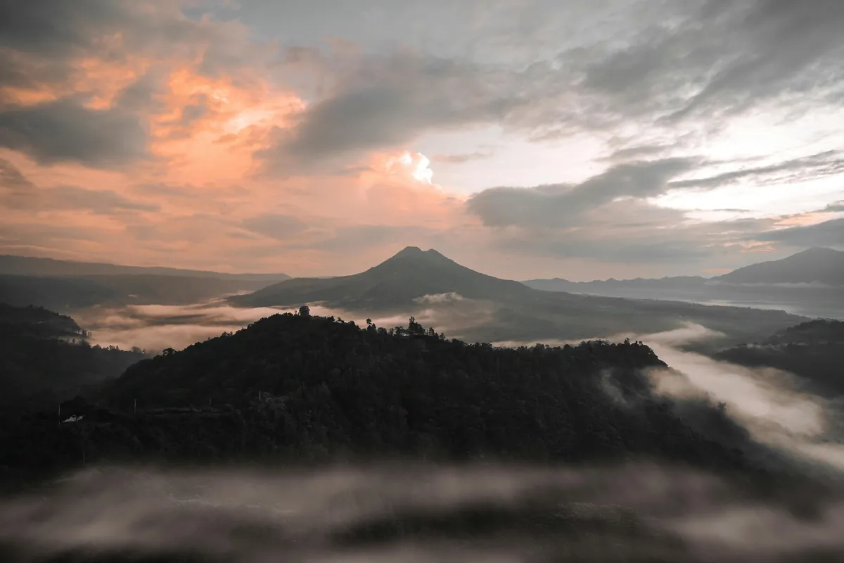 Memahami Kode Alam Melihat Cicak Kawin: Makna dan Tafsirnya