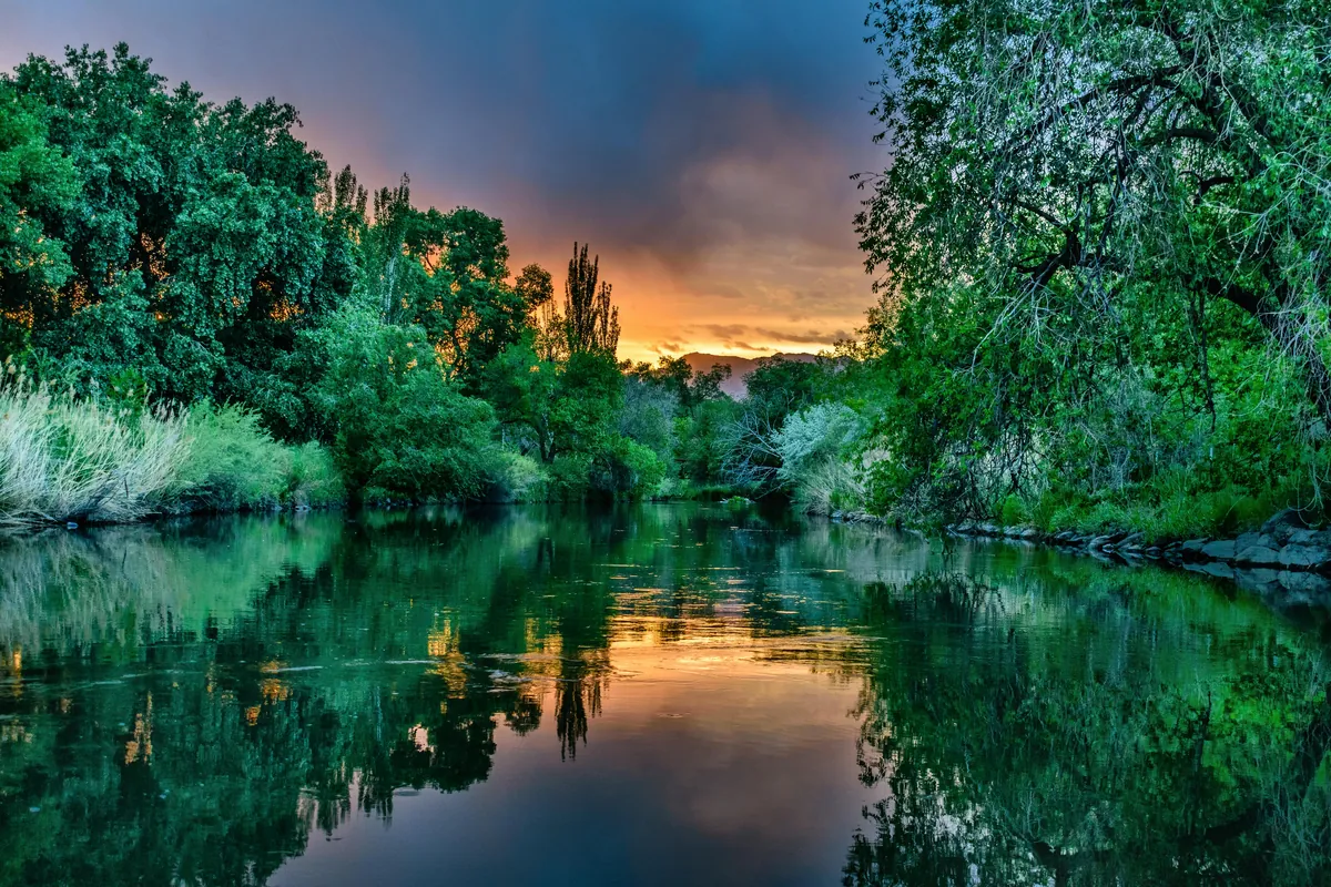 Featured Image