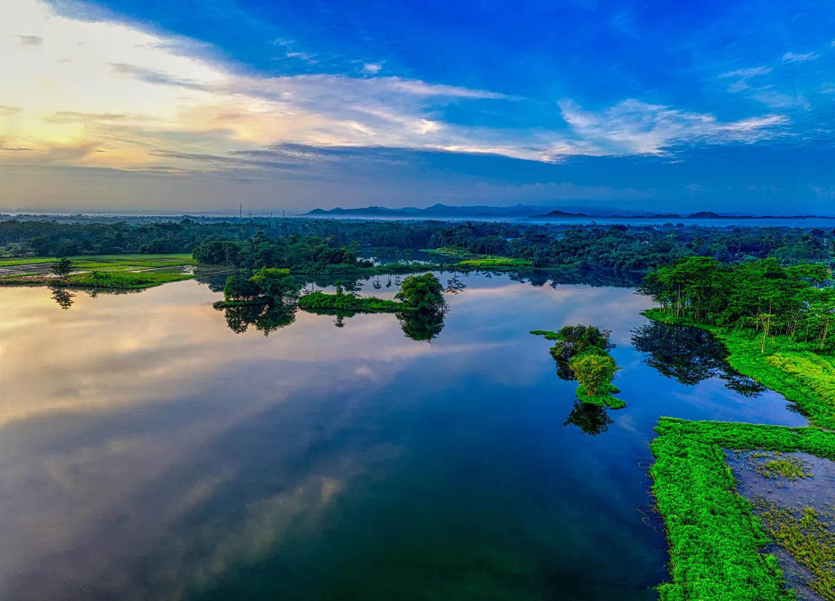 Featured Image