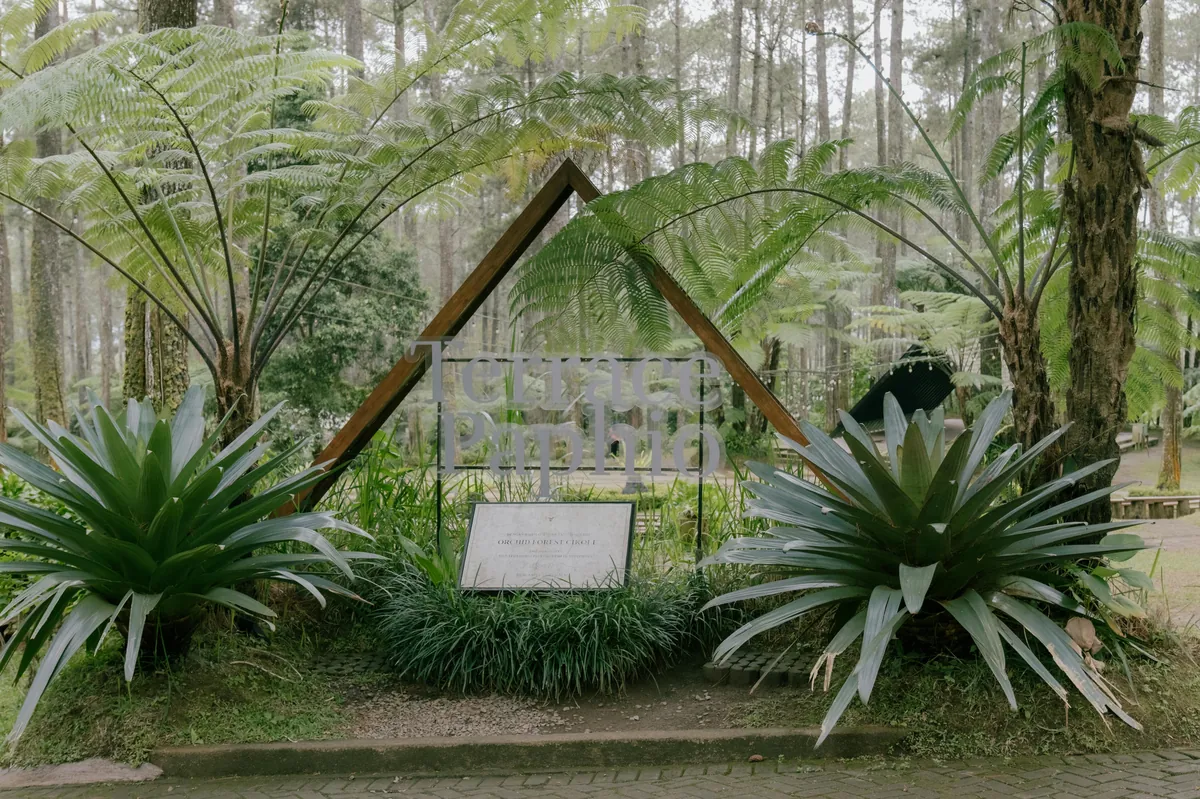Quotes Aesthetic Indonesia untuk Memotivasi Semangat