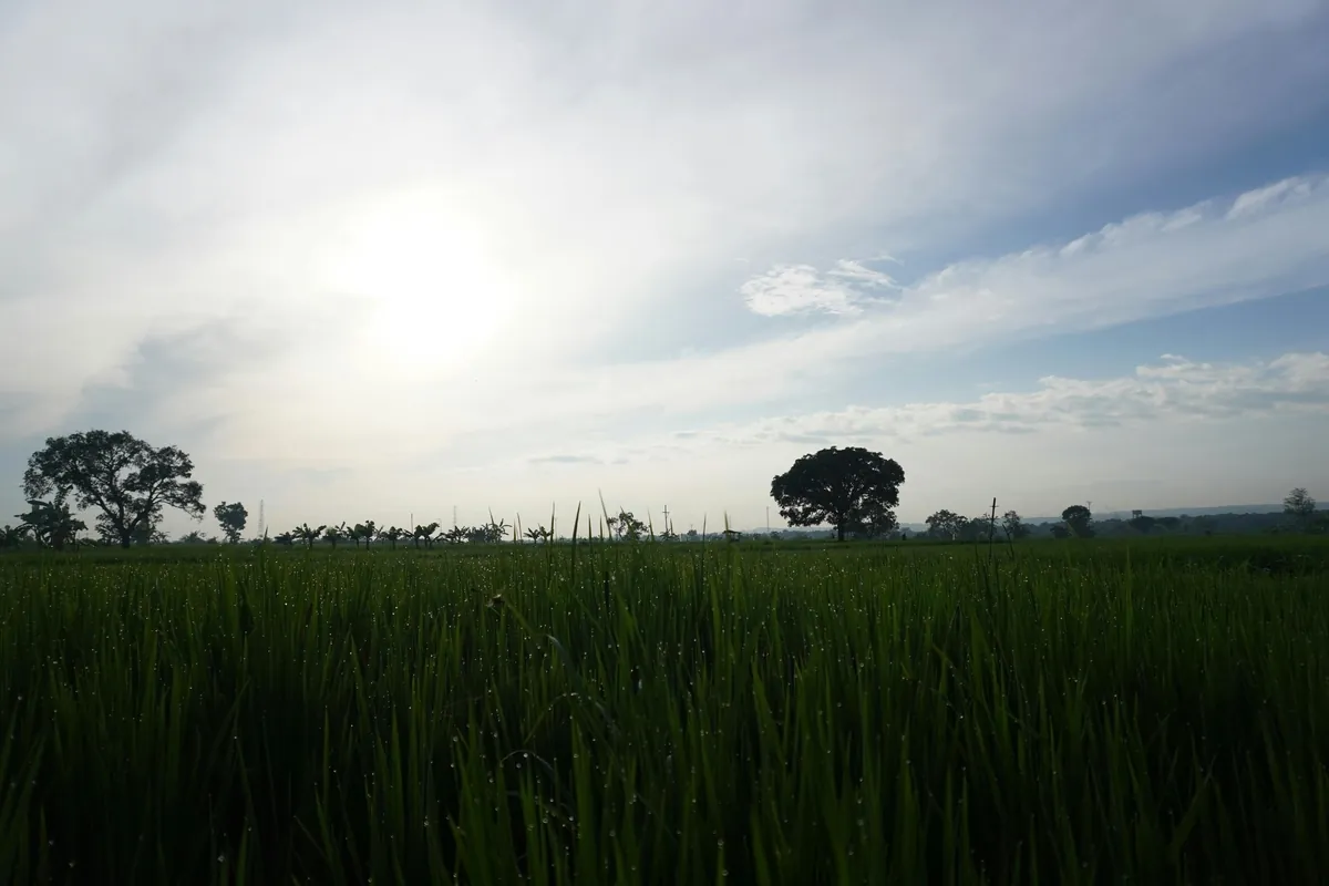 Featured Image