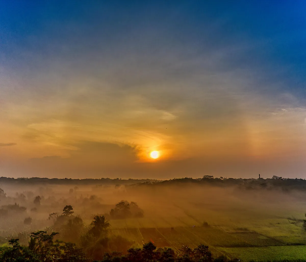 Bebek 2D Togel: Panduan Lengkap Memahami dan Meningkatkan